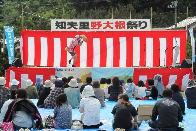 野だいこん祭