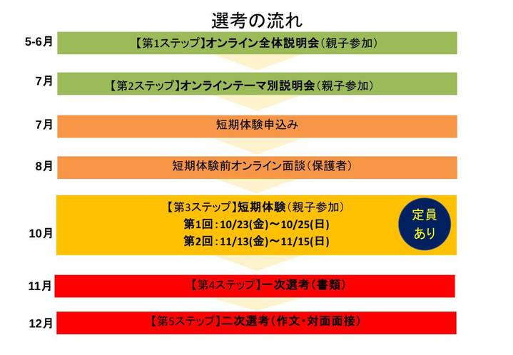 選考フロー
